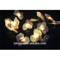 10 LED Phalaenopsis Battery Light Hot Sale More Popular